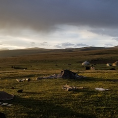 Аваагүй Нарааа, 34 года, Ulaanbaatar