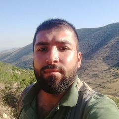 Ali Hajhoussein, 34 года, Beirut