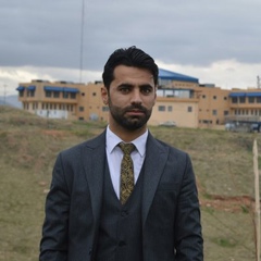 Belal Omar, 29 лет, Duhok