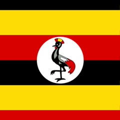 Akiso Uganda, Kampala