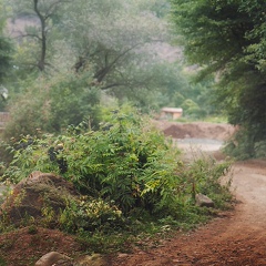 Рафис Зак, Казань