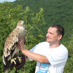 Александр Савушкин, 42 года, Нижний Новгород