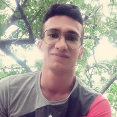 Juan Serrano Ramirez, 28 лет, Bogotá