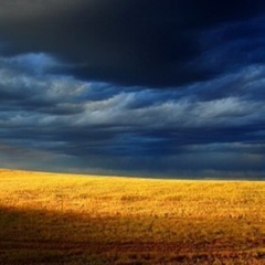 Den Cheg, Днепр (Днепропетровск)