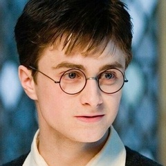 Harry Potter-Peverell, 44 года