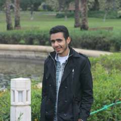 Ibrahim Gomaa, 33 года, Cairo