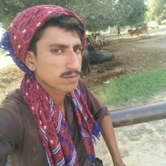 Mazhar Baloch, 26 лет