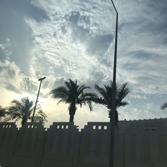 Mn Nm, 26 лет, Doha