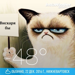 Константин Вольнов, 43 года, Нижневартовск