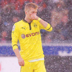 Marko Reus, Dortmund