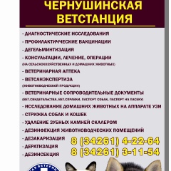 Чернушинская Ветстанция, 24 года, Чернушка