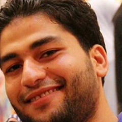 Ahmed Fathy, 33 года, Shibin El Kom (Shibin Al Kawm)