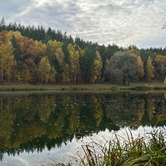 Татьяна Ненашева, Самара