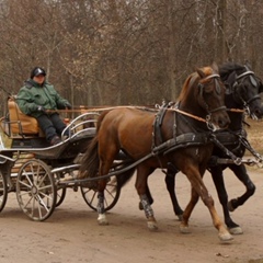 Виктория Кошечкина, Санкт-Петербург