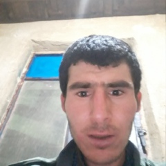 Mohammad Karchani, 36 лет, Arak