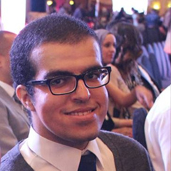 Mohamed Ahmed-Hamdy, 33 года, Cairo