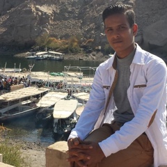 Mohamed Ibrahim, 29 лет, Luxor