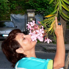 Елена Замуруева, Москва