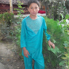 Amanuddin Afzali, Kabul