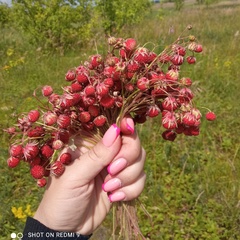 Марина Маркова