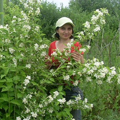 Таня Самойленко, Ставрополь