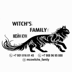 Withcs-Family Maine-Coon