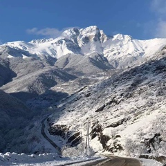 Артур Петросян