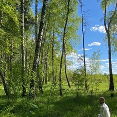 Duc-Thien Duyen, 59 лет, Москва