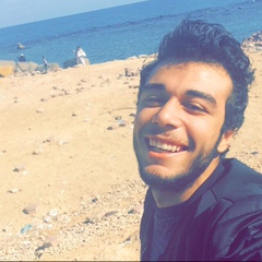 Yasser Mikkawy, 27 лет, Cairo