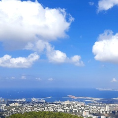 Светлана Алексеева, Nesher