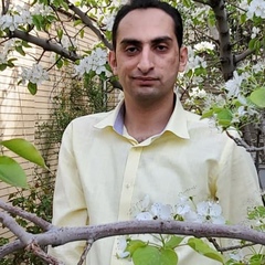 Shervin Saatchi, 36 лет, Isfahan