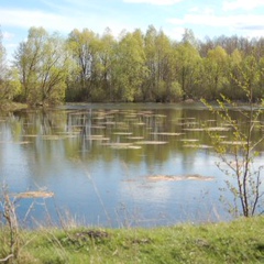 Анна Щербина, Днепр (Днепропетровск)