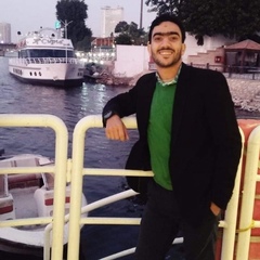 Mohammad El-saadany, 38 лет, Cairo