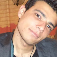 Hesham Khattab, 33 года, Banha (Benha)