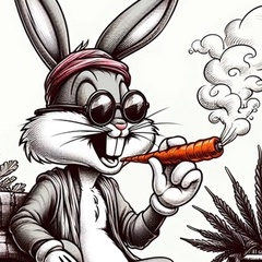 Bugs Bunny, 28 лет, N'Djamena