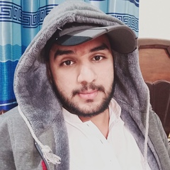 Aafaq Raza, 26 лет, Multan