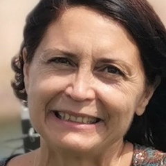 Sylvie Alves, 61 год, Pressigny