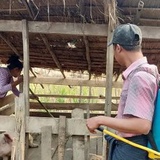 Ko Zaw, 49 лет, Mandalay