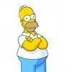 Homer Simpson, Springfield