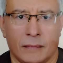 Ahmed Sadek, 64 года, Damietta