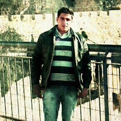 Anas Aqra, 31 год, Nablus