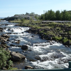 Gokor Rgokor, Reykjavík