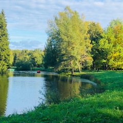 Нина Сизова, 62 года, Санкт-Петербург