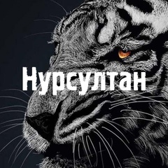 Нурсултан Нуршабаев, Алматы