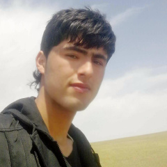 Shabir Nazary, 36 лет, Kabul