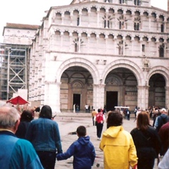 Gigino Kicco, 63 года, Bologna