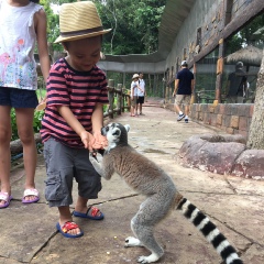 Cuong Pham, Hanoi