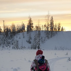 Даня Туули, Umeå