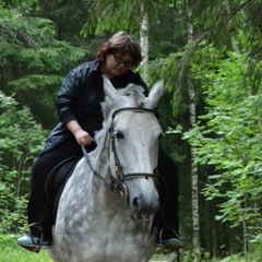 Светлана Петрий, Санкт-Петербург