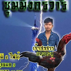 ซุ้ม มังกรวารี สังกัด เพชรรุ่งเรือ&, 31 год